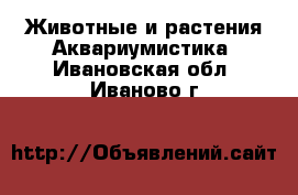 Животные и растения Аквариумистика. Ивановская обл.,Иваново г.